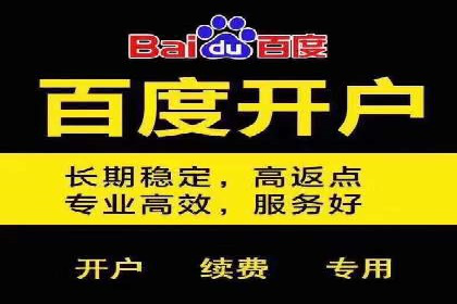 竞价排名在电商行业的实战案例